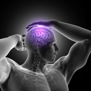 Mind Muscle Connection