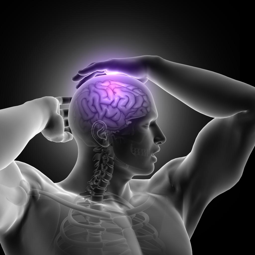 Mind Muscle Connection